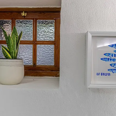 בית נופש Casa Con Drago Milenario *