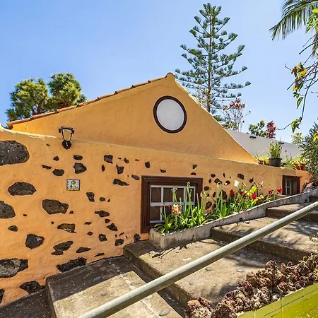 Casa Con Drago Milenario San Antonio (La Palma)