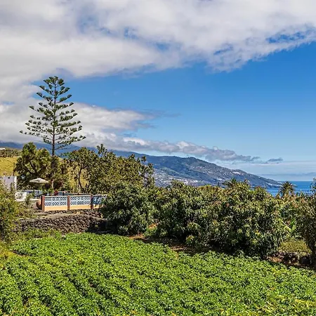 Casa Con Drago Milenario * San Antonio (La Palma)