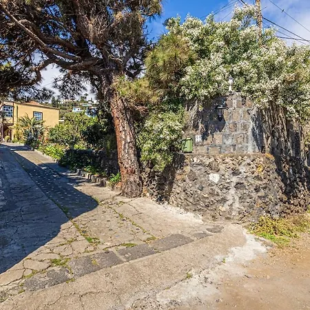 Casa Con Drago Milenario