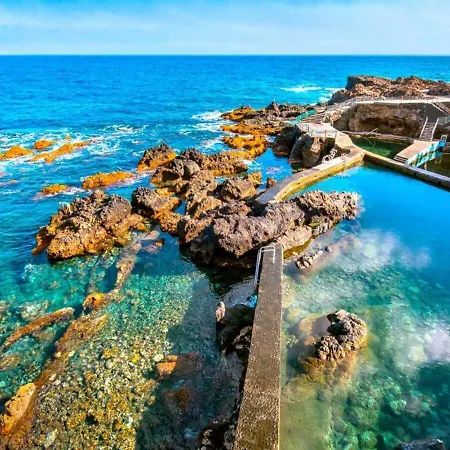 Casa Con Drago Milenario San Antonio (La Palma)